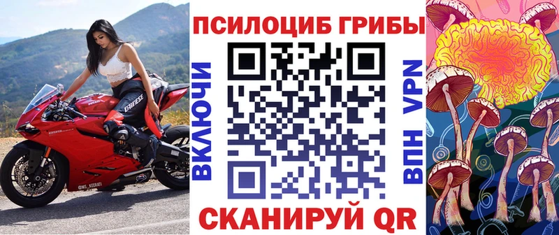 Галлюциногенные грибы мухоморы  Циолковский 